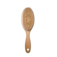 Artero Pure Bristle Brush